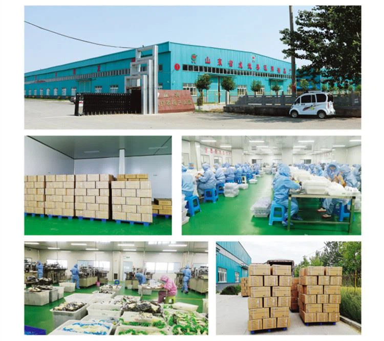 image010 product-1-1